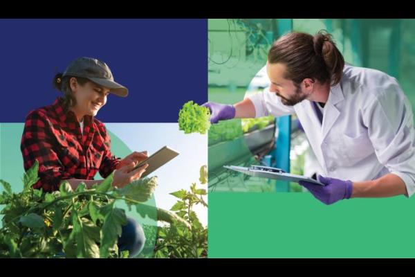 EU AgRI 2040