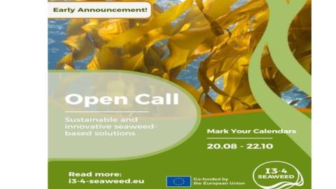 convocatoria I3-4 Seaweed