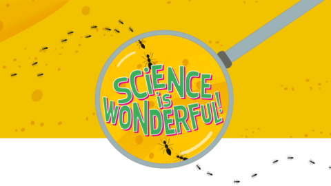 Science is Wonderful