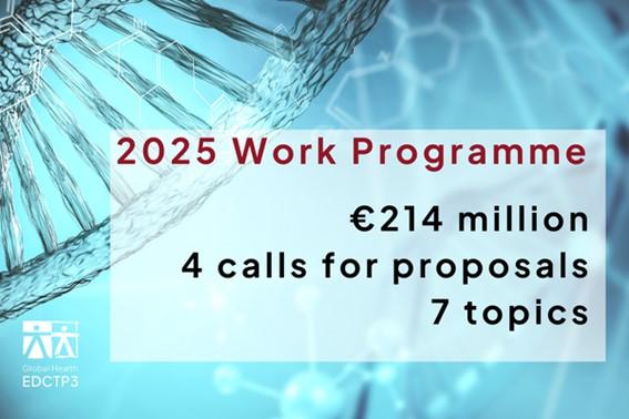 2025 work programme